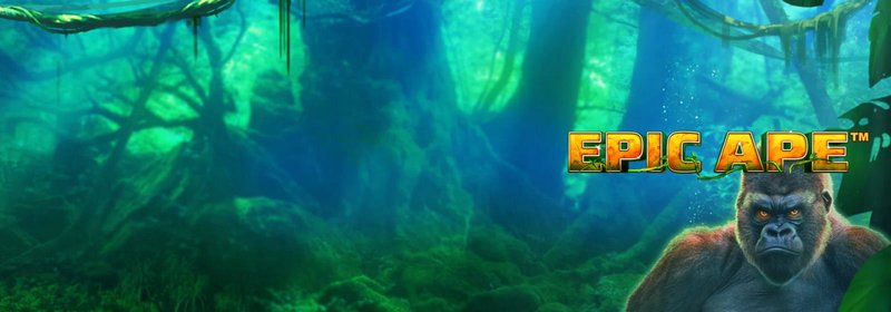 Comparaison des machines à sous : Epic Ape vs. autres classiques à Canada